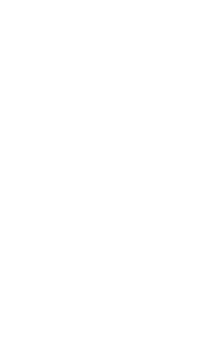 Señor Pollo — Productos Florida